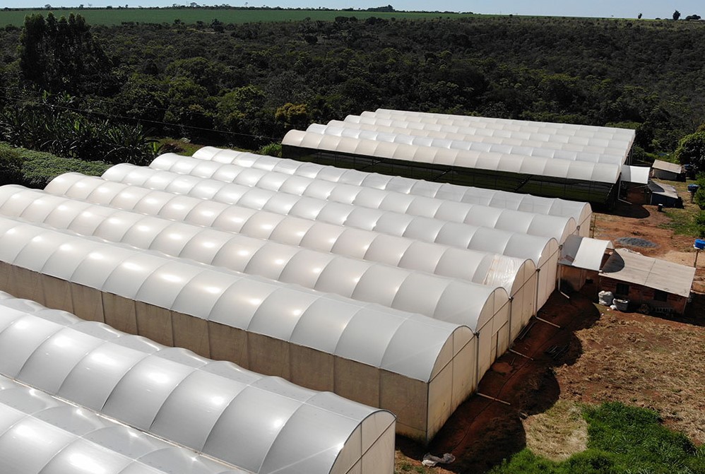 Agricultura